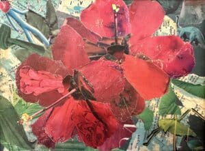 two hibiscus flowers made of a collage of different media.
