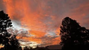 orange sky at sunrise with trees showing on the left and right of the picture